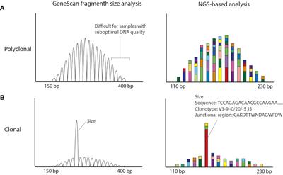 Read the clonotype: Next-generation sequencing-based lymphocyte clonality analysis and perspectives for application in pathology